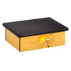 Serengeti Lion Cubs, Yellow, Laminate Step Stool