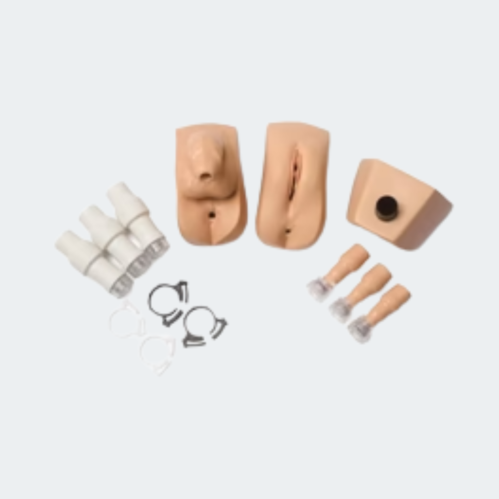 200-03650 Genitalia Kit, Male/Female with Valves L
