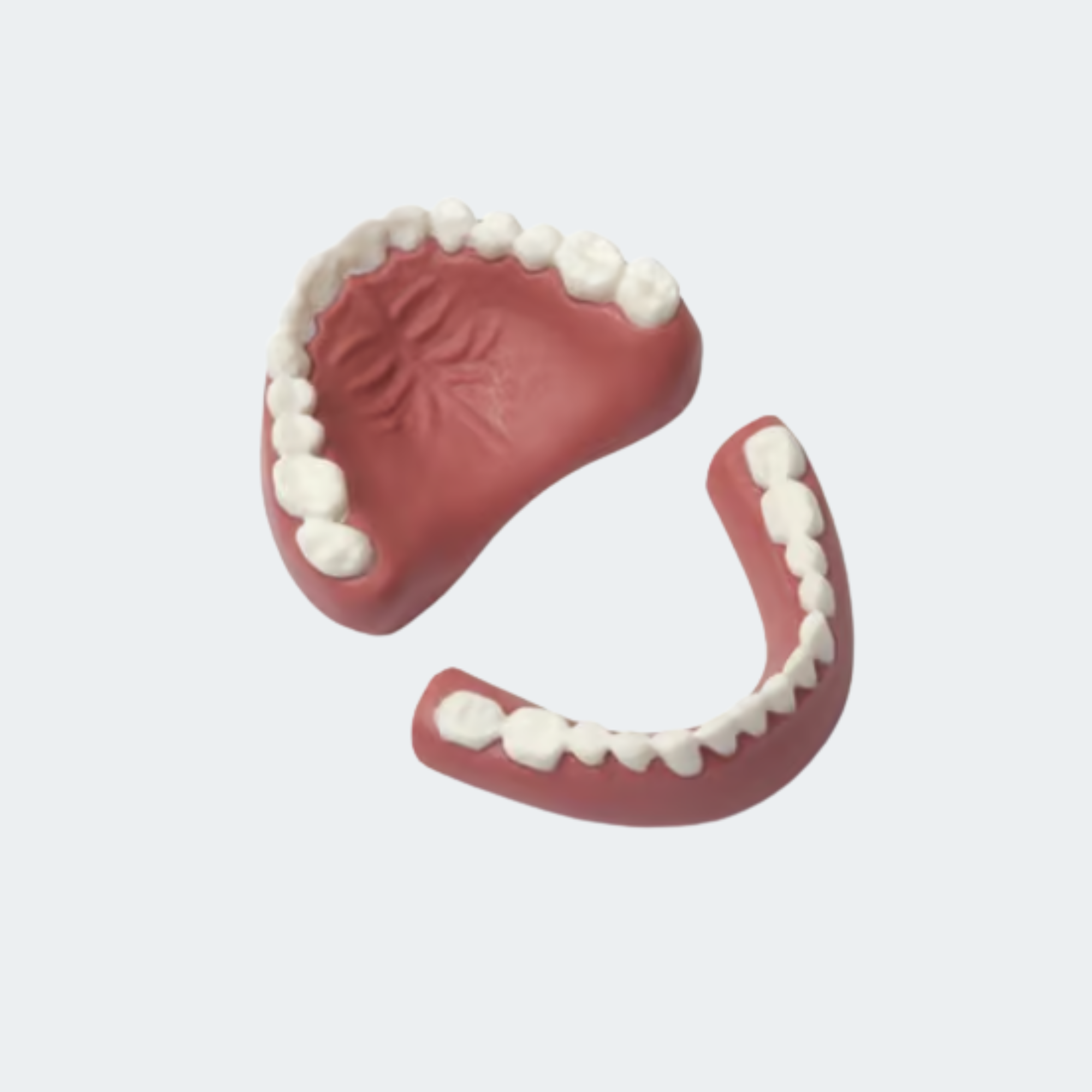 300-00950 Denture Set - Upper/Lower - Adult