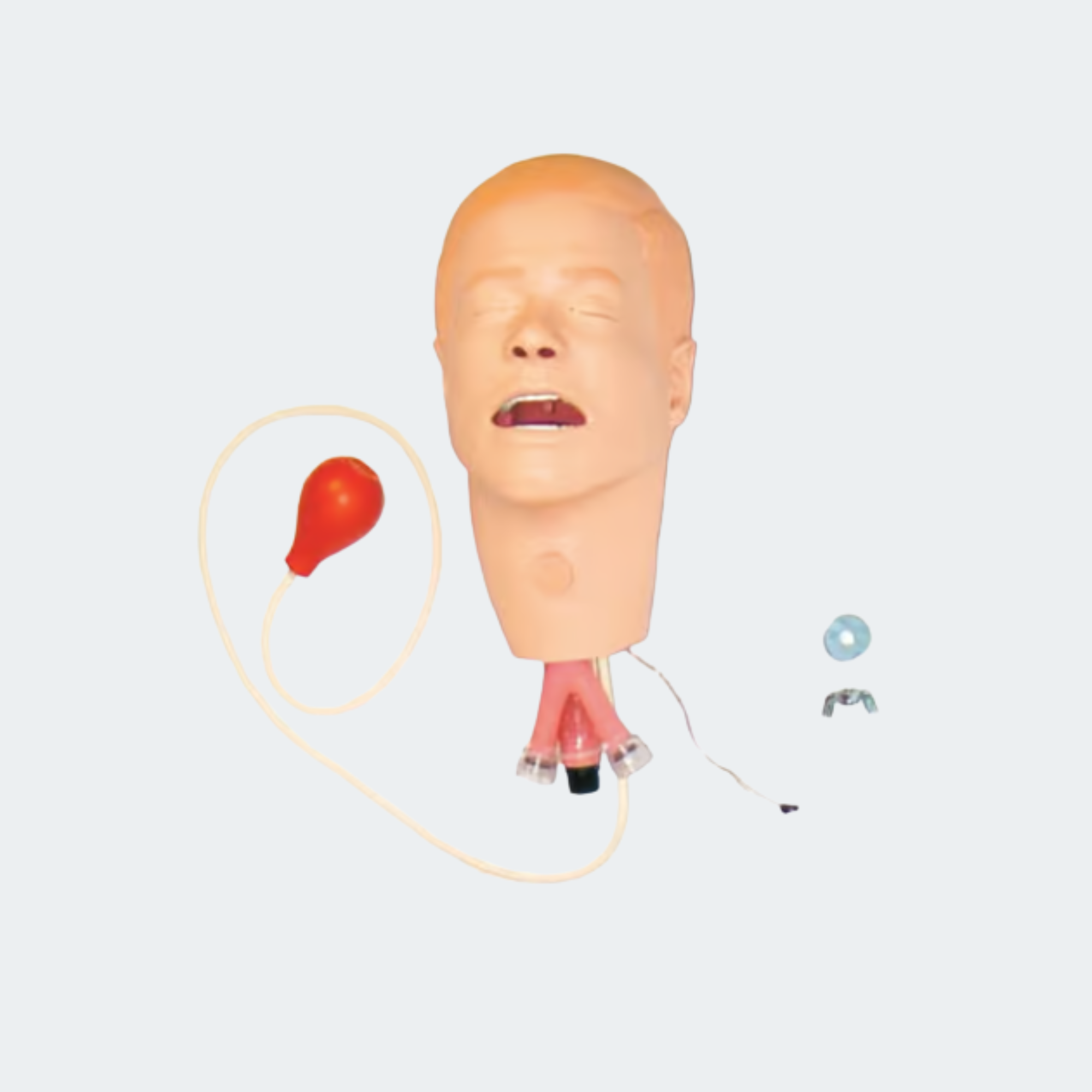 300-01150 Head Assembly, Adult Male, with Trach Plug