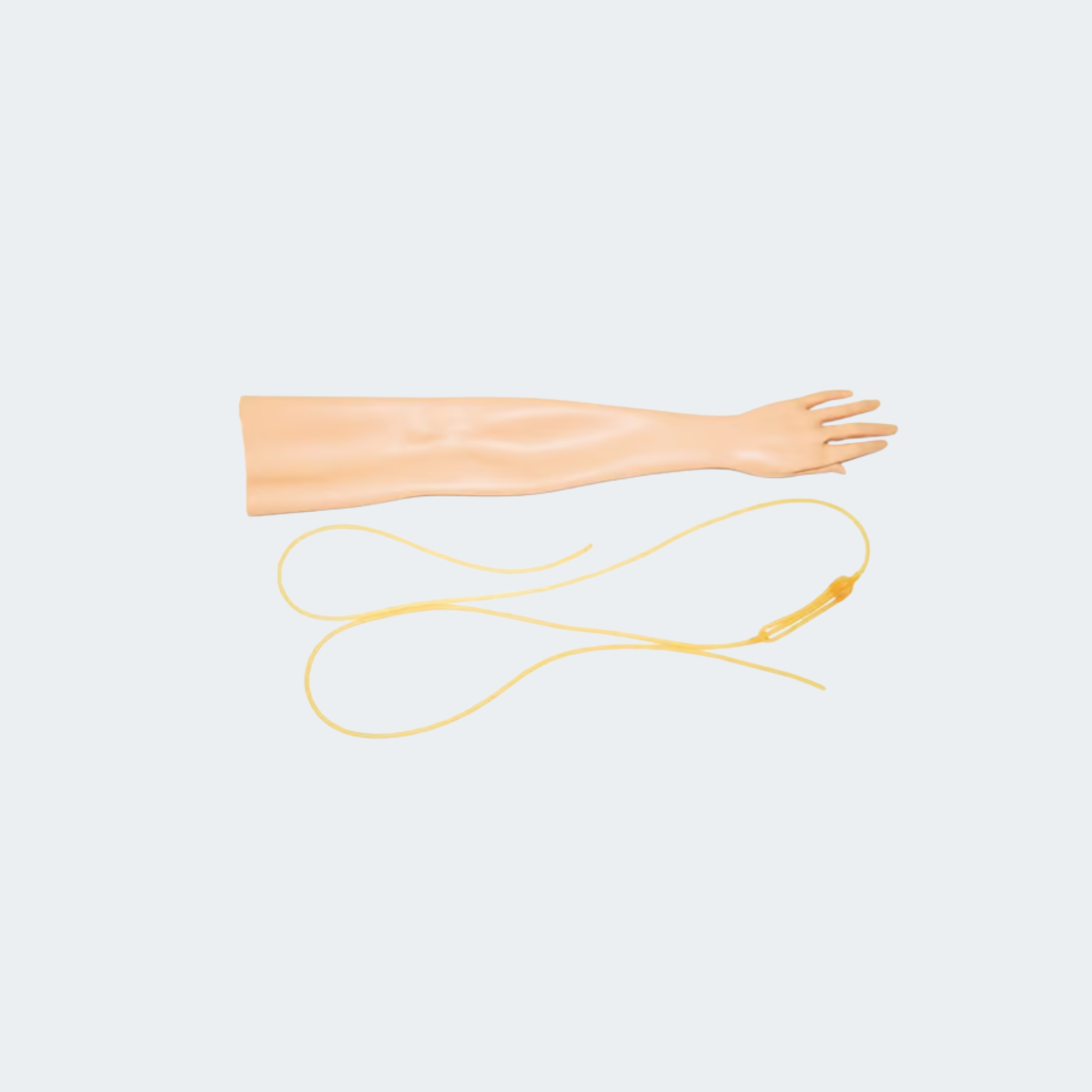 325-00350 Skin and Vein for Multi-Venous IV Arm Left (S)