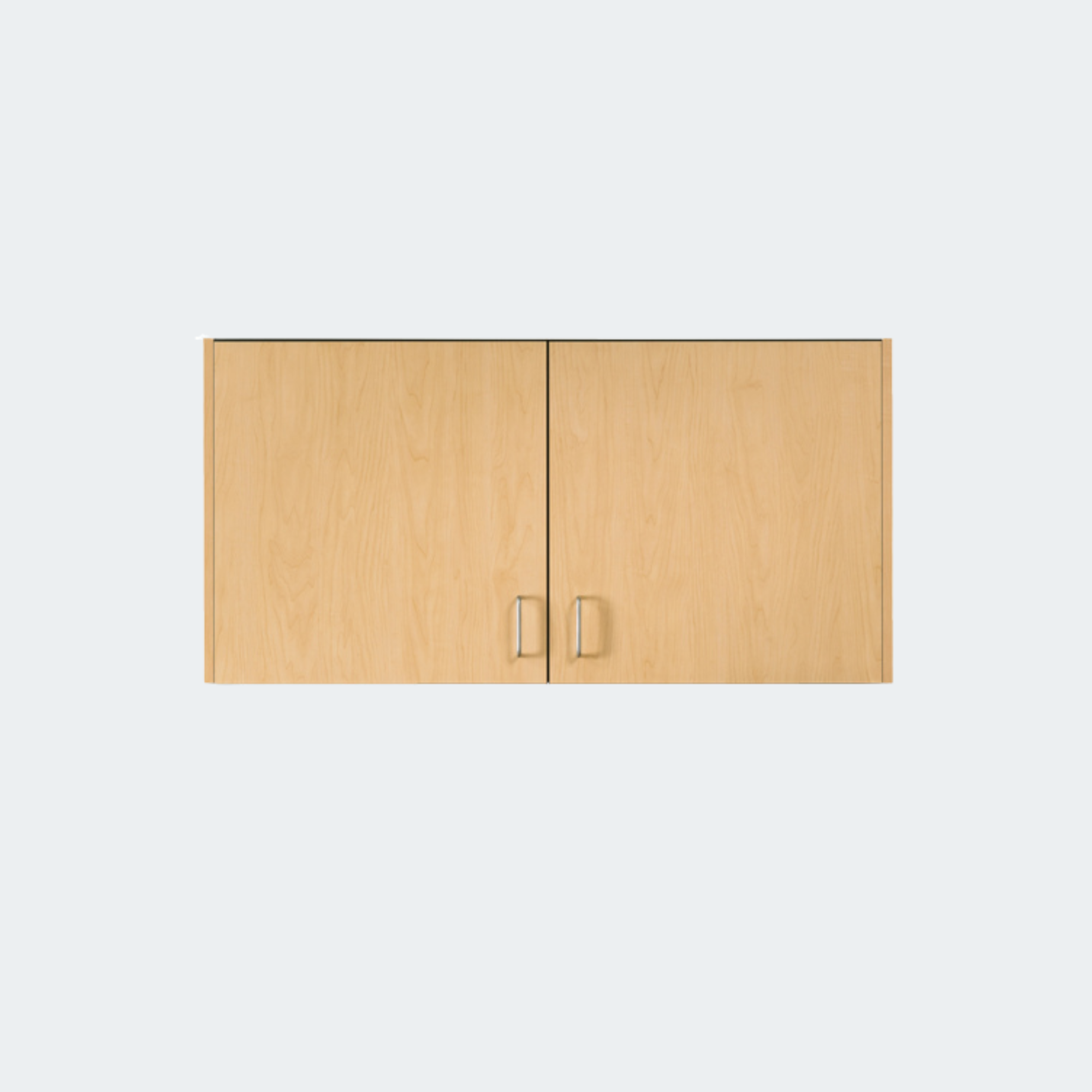 48" Wall Cabinet with 2 Doors