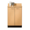 Base Cabinet with 2 Doors