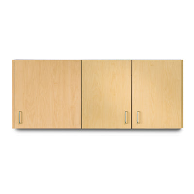 60" Wall Cabinet with 3 Doors