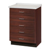 Molded Top Treatment Cabinet with 5 Drawers