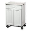 Fashion Finish Mobile Treatment Cabinet with 2 Doors and 1 Drawer