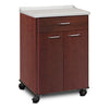 Mobile Treatment Cabinet with 2 Doors and 1 Drawer