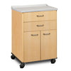 Molded Top, Mobile Treatment Cabinet with 2 Doors and 2 Drawers