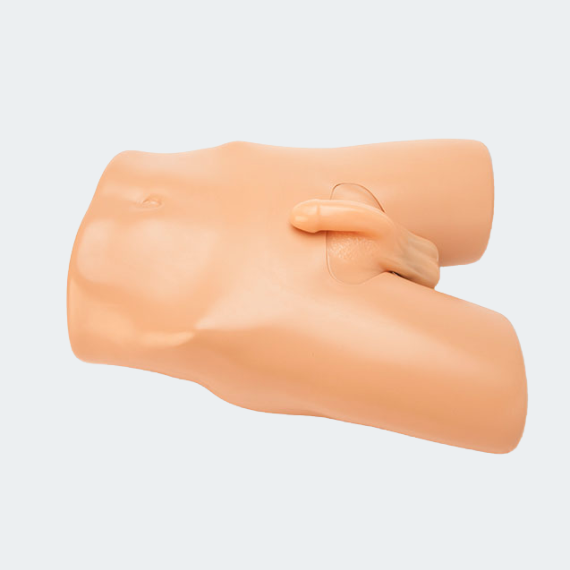 Blue Phantom Scrotal Ultrasound Training Model