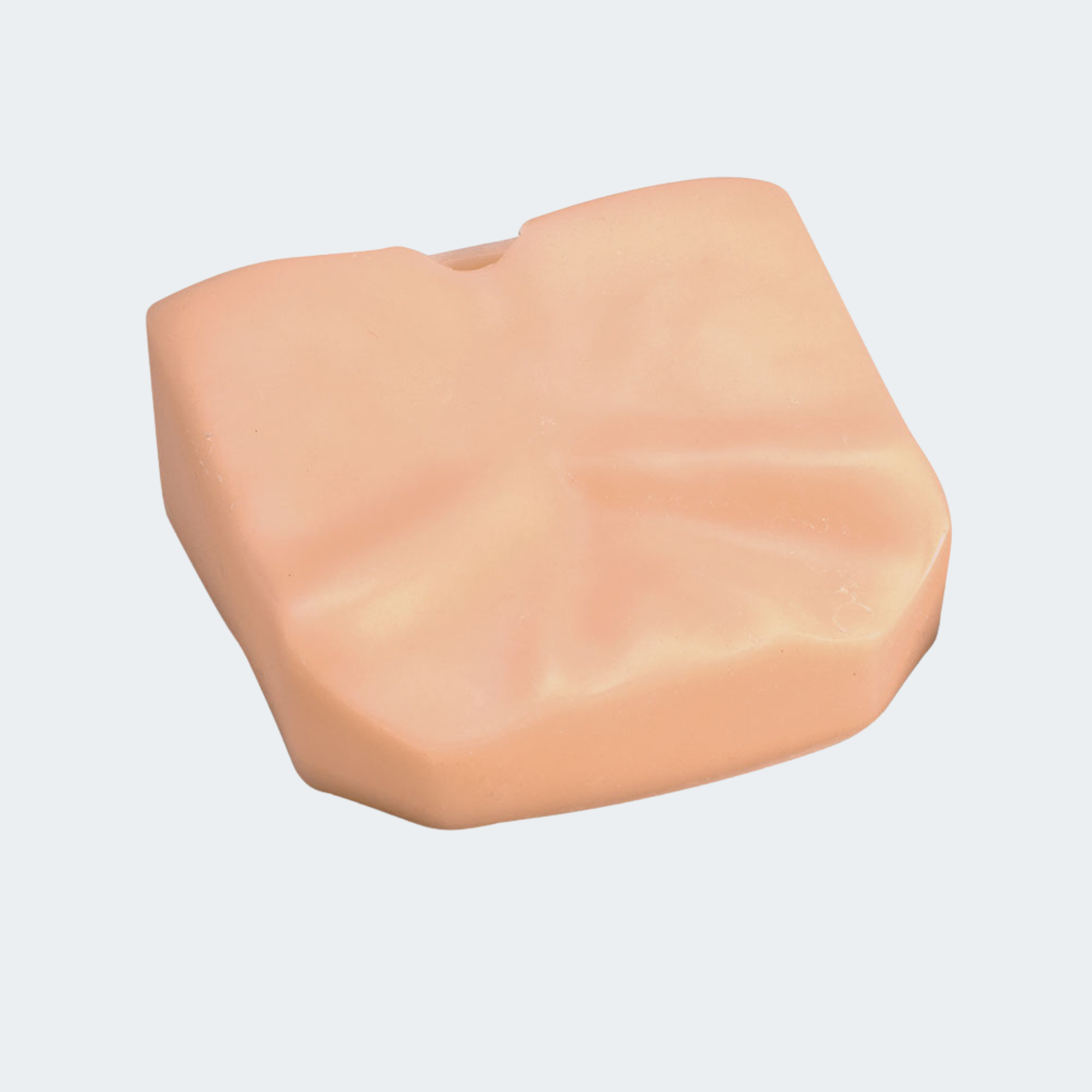 FAST1 Trainer Replacement Skin by Simulaids