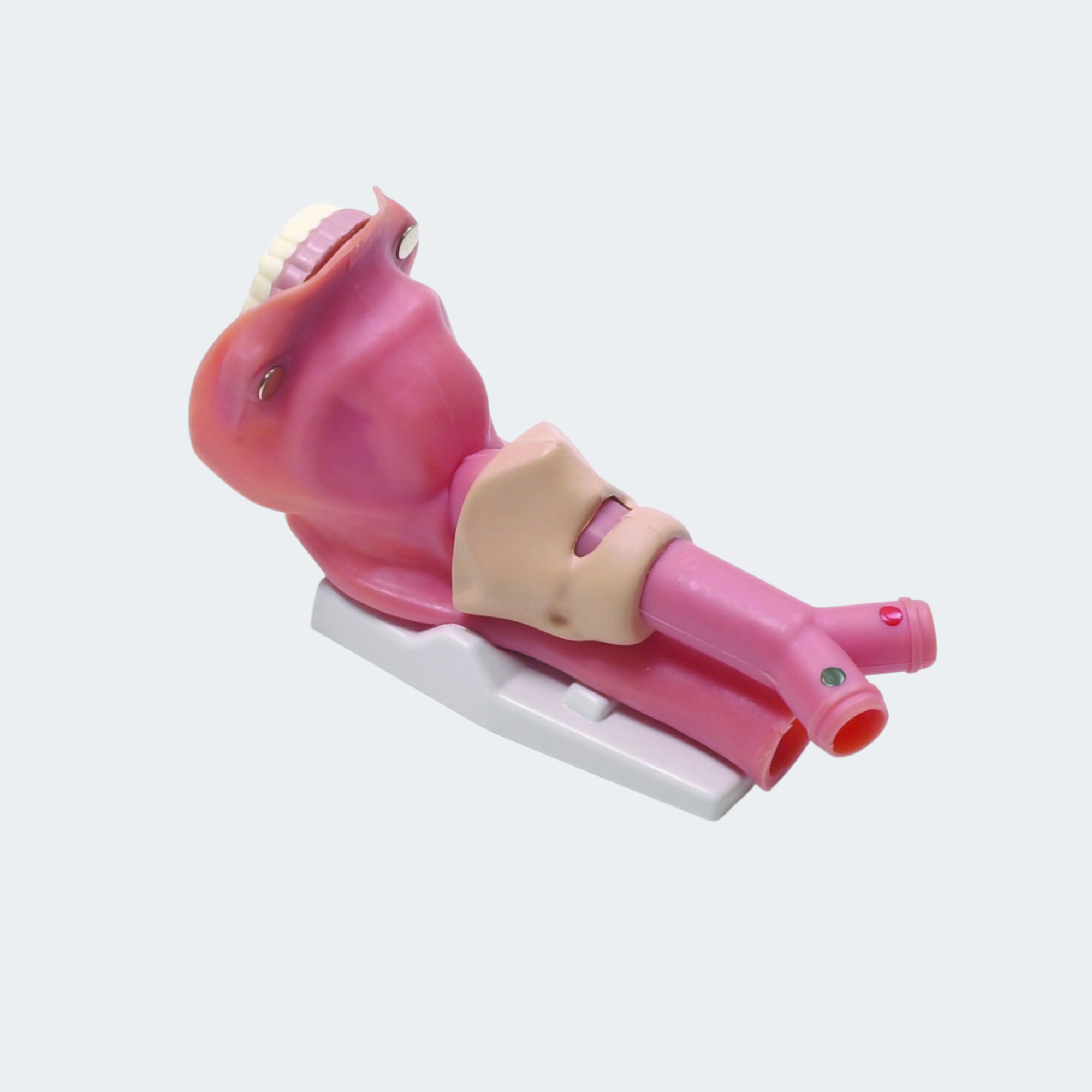 Laerdal Airway Demonstration Model Part #: 252500
