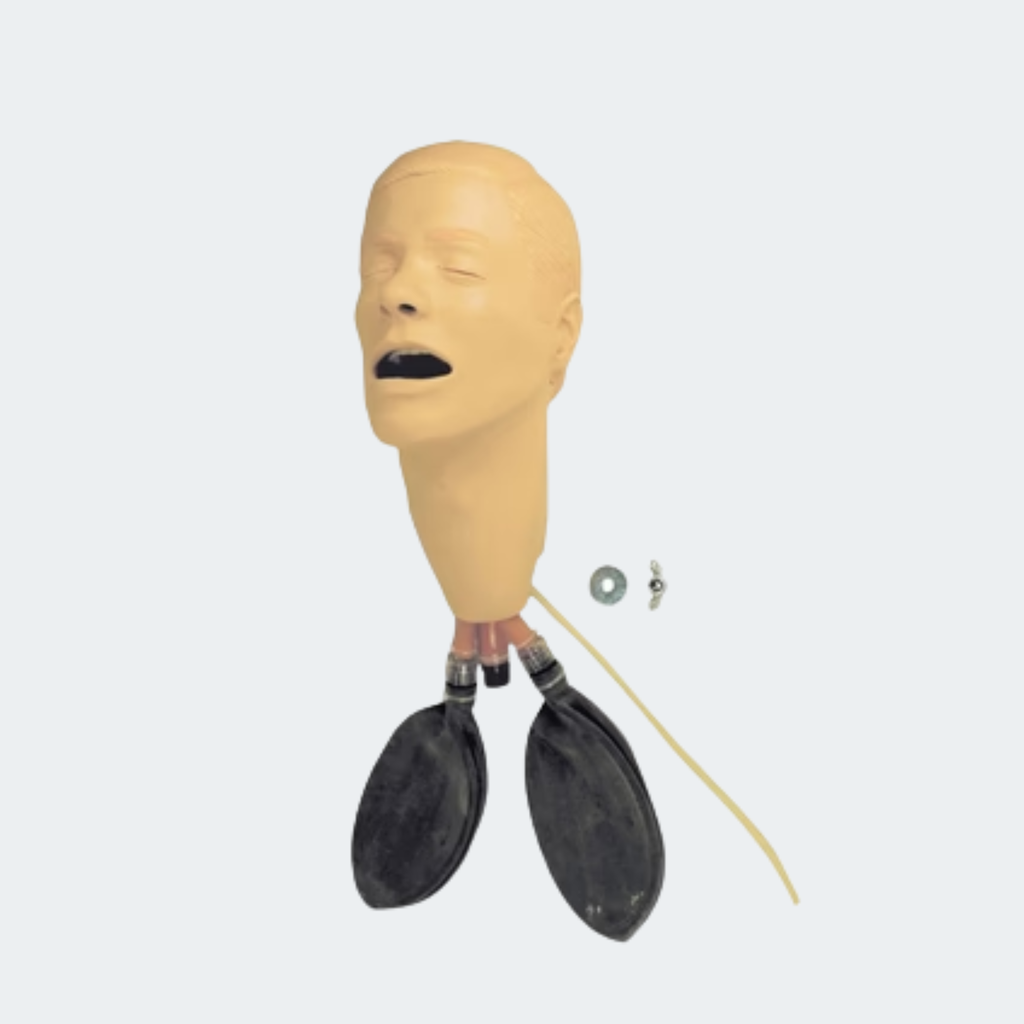Laerdal Head Assembly, Intubation w/Lungs, Adult Male Part #: 201-00150