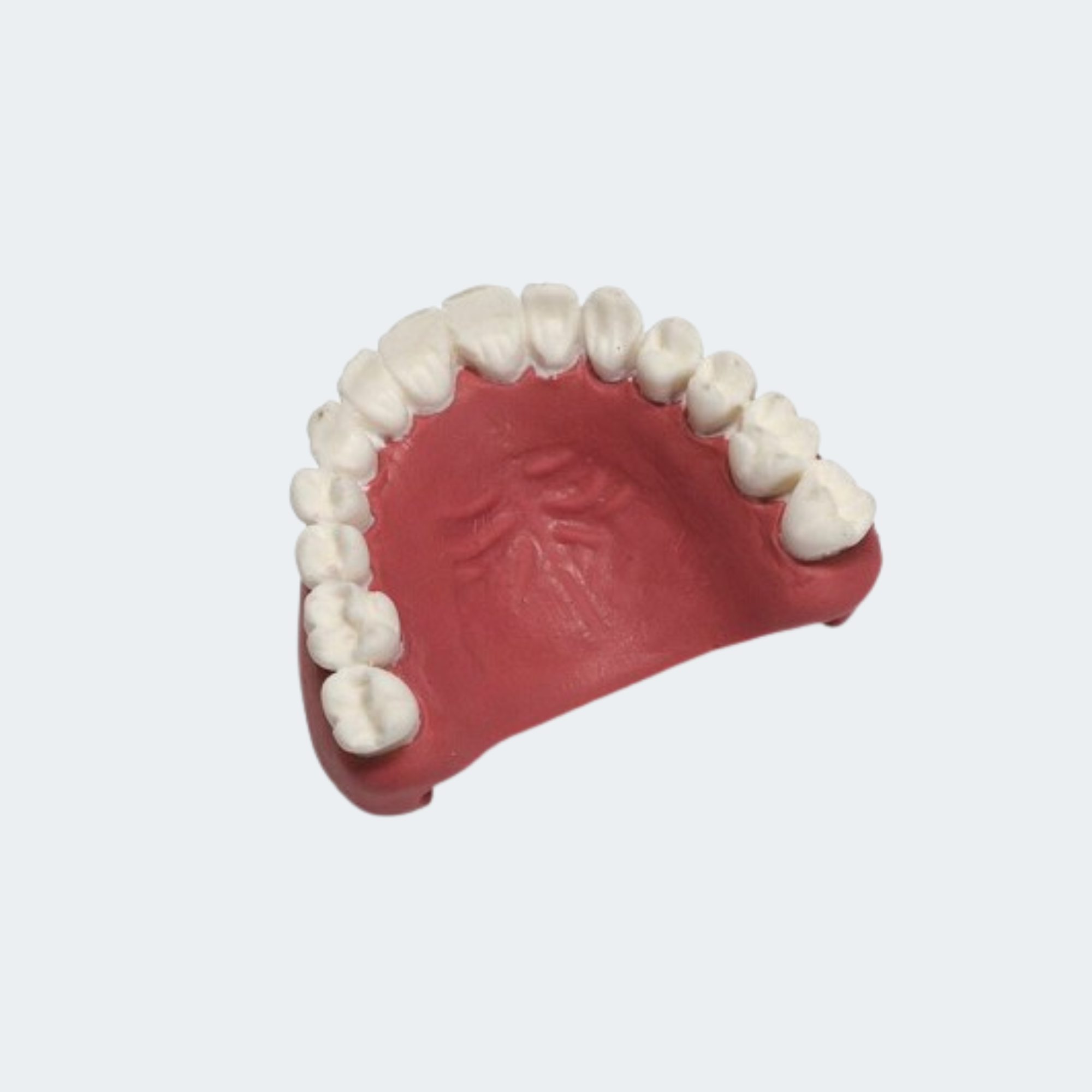 Laerdal MegaCode Kelly Upper Teeth Part #: 381107