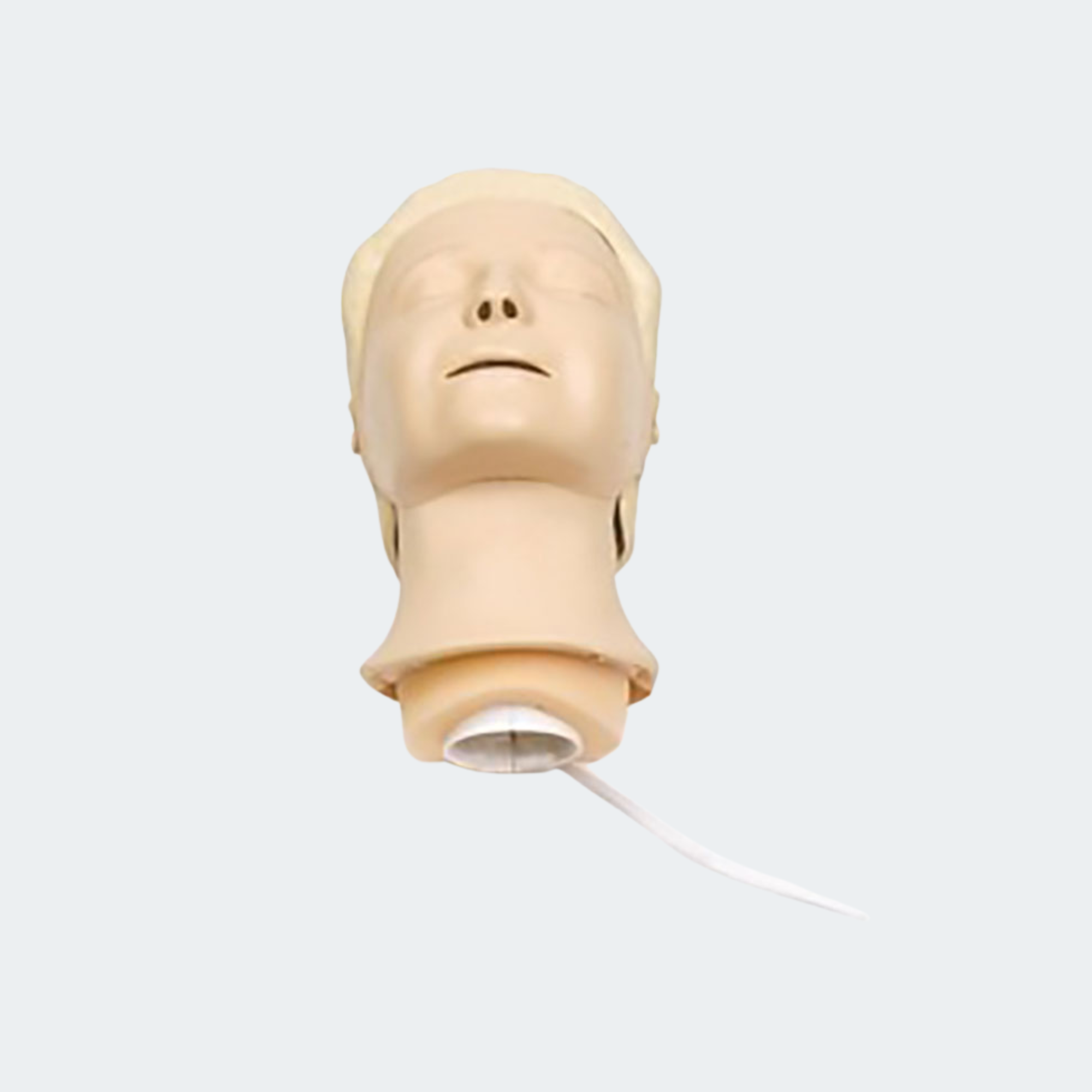 Laerdal Resusci Anne Replacement Head Complete Part #: 310200