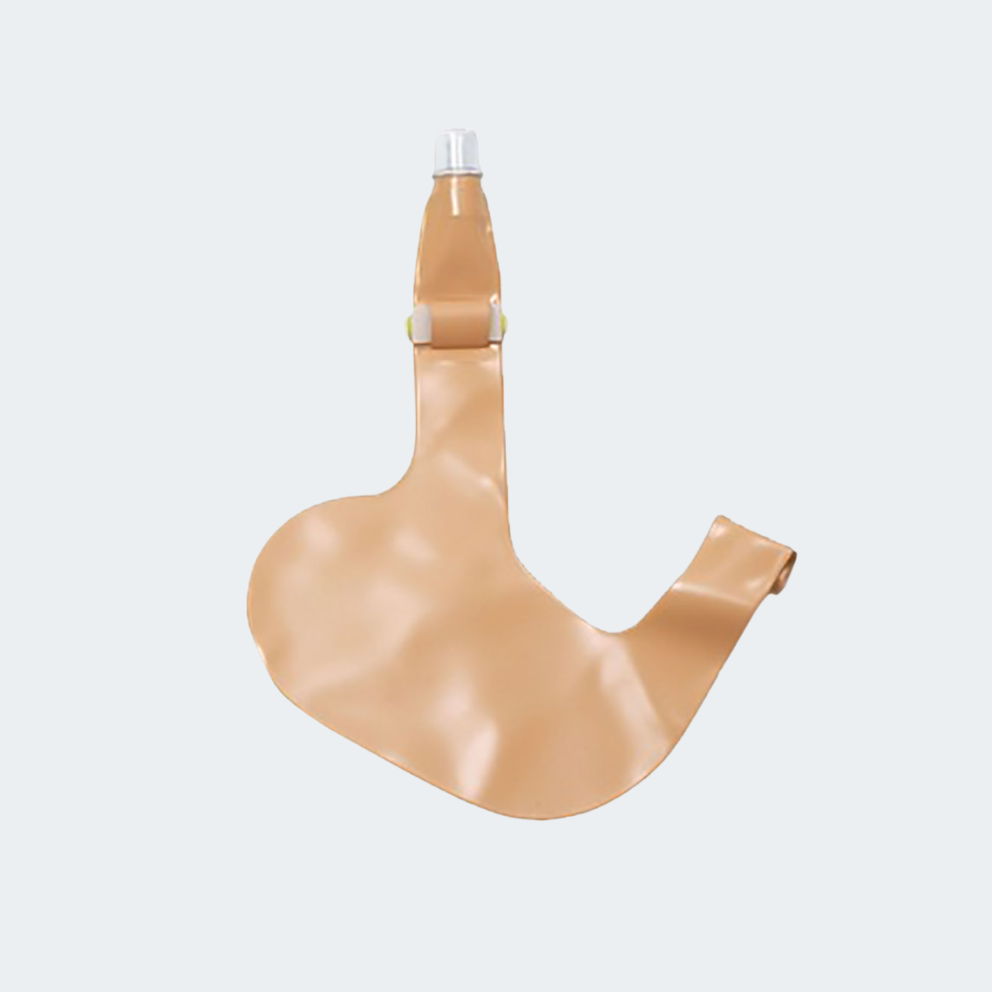 Laerdal Stomach Complete Part #: 251100
