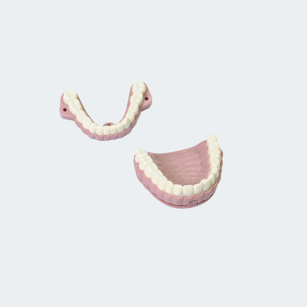 Laerdal Teeth Ridges & Audio Signal Device Part #: 252010