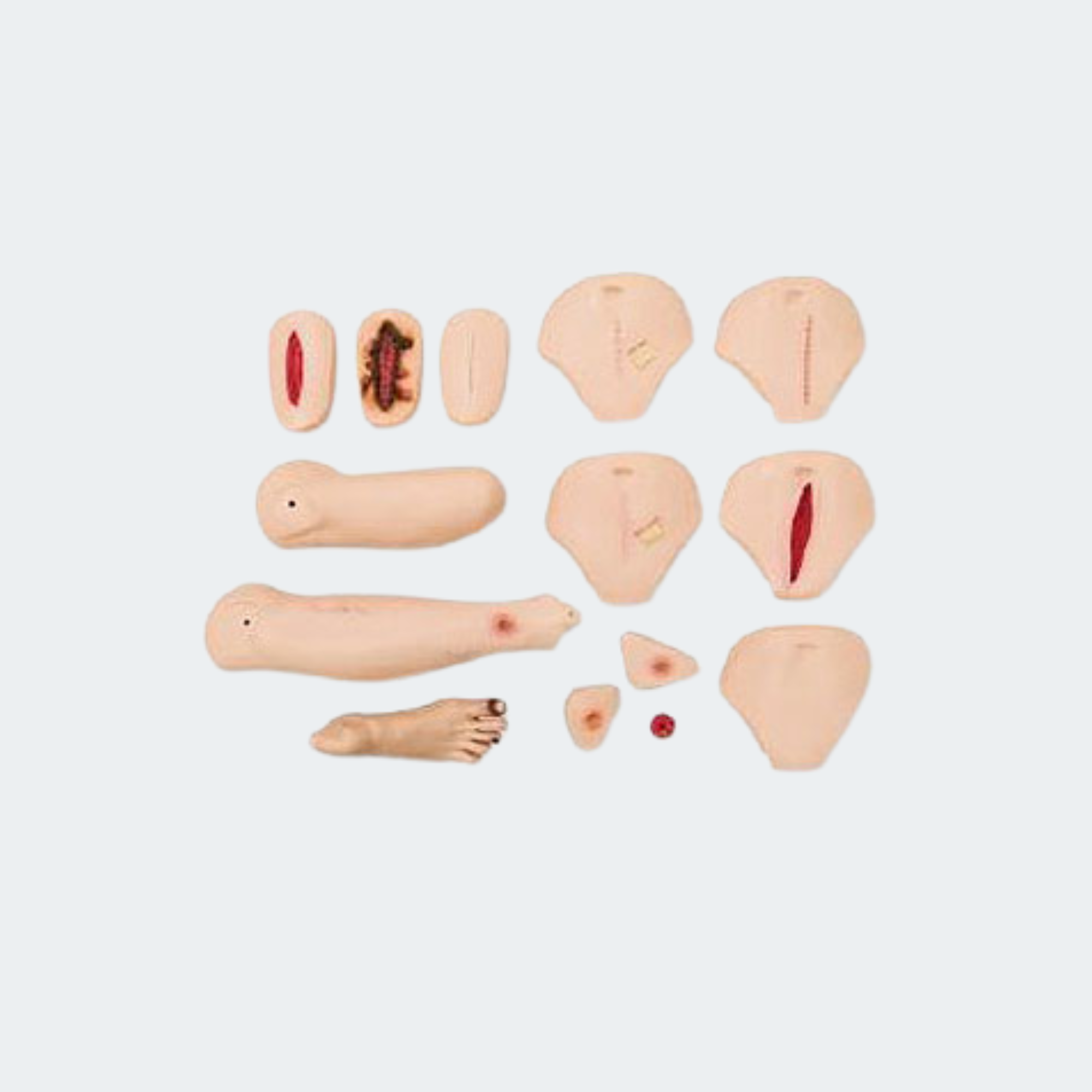 Laerdal Wound Care Assessment Set (Female) Part #: 325-00550