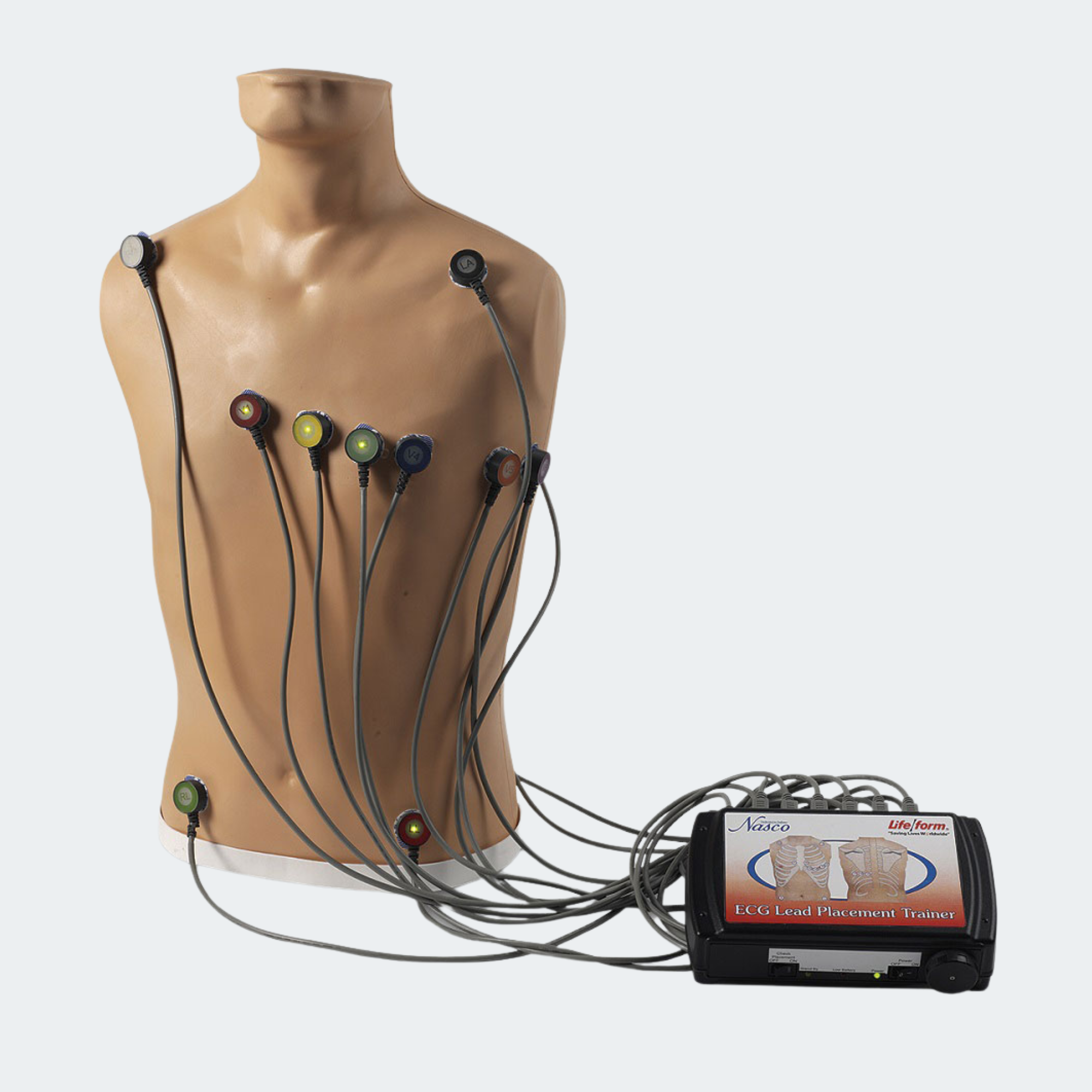 Life/form 15-Lead ECG Placement Trainer