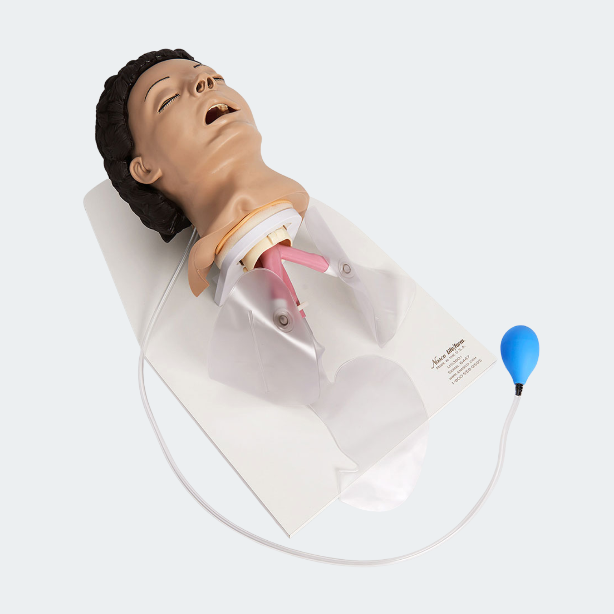 Life/form Adult Airway Management Trainer w/Stand & Case Part #: LF03601U