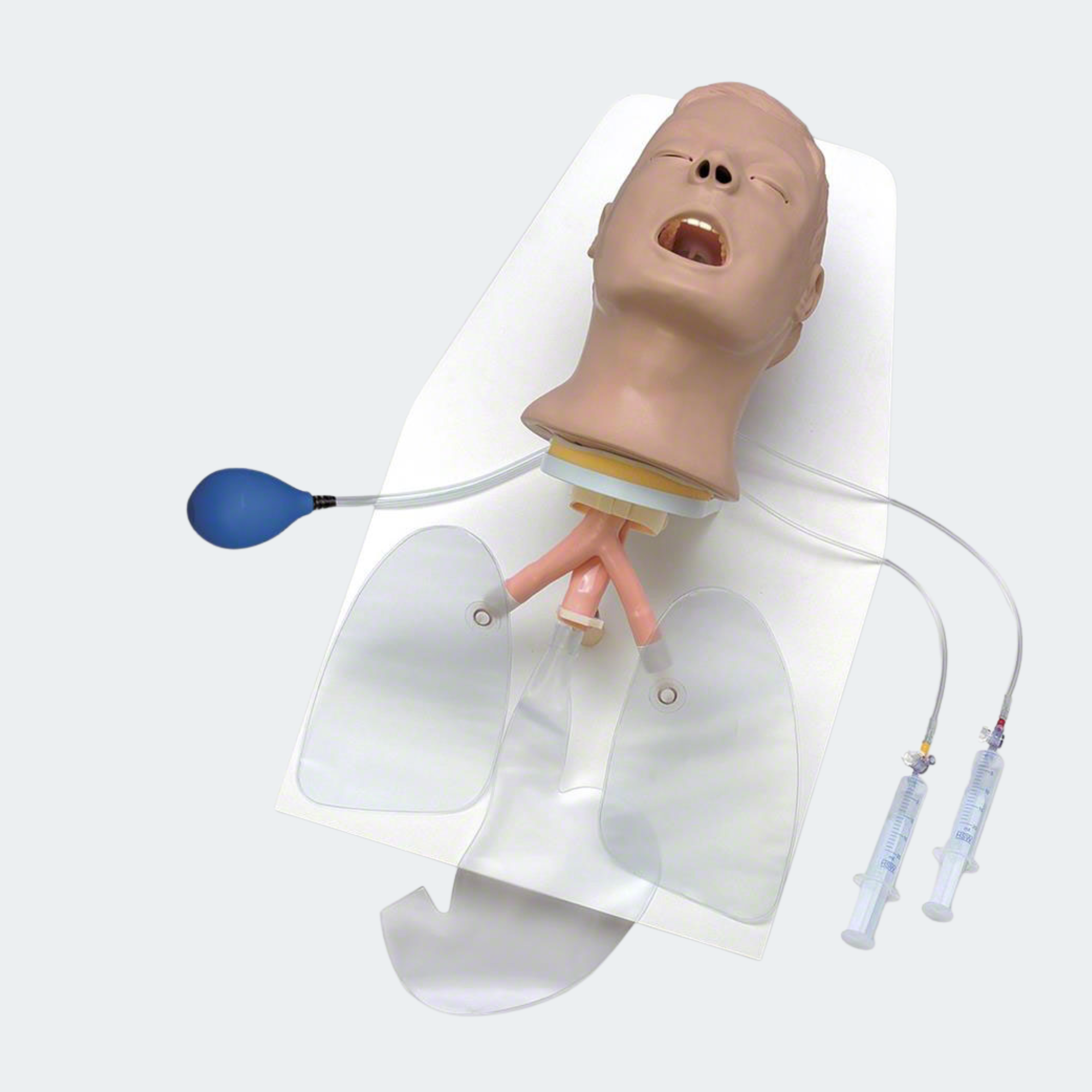 Life/form Advanced Airway Larry AMT Head w/Stand & Case Part #: LF03685U
