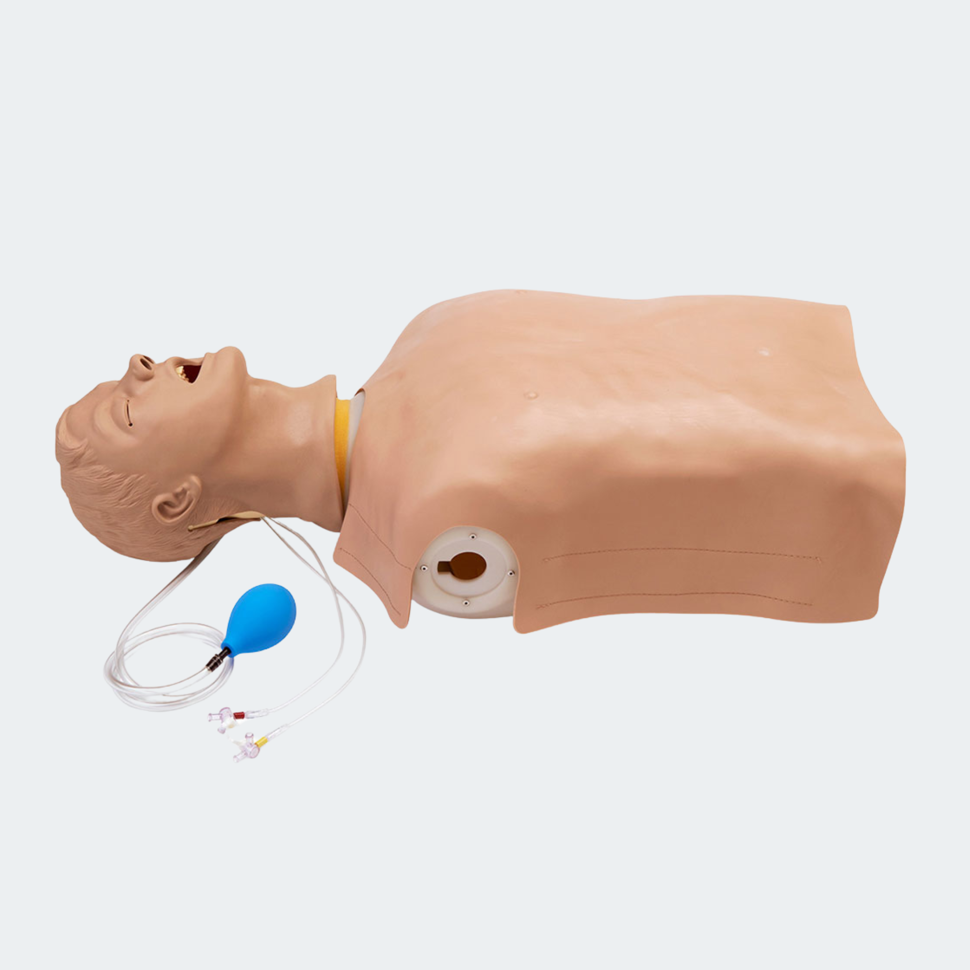 Life/form Advanced Airway Larry AMT Torso Part #: LF03686U