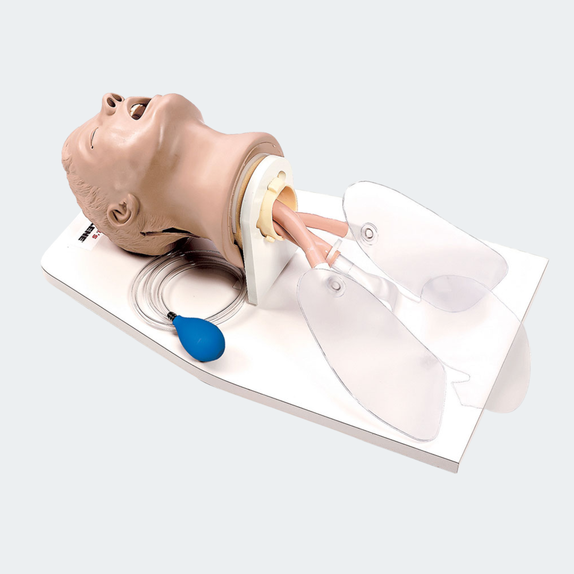 Life/form Airway Larry AMT w/Stand Part #: LF03699U