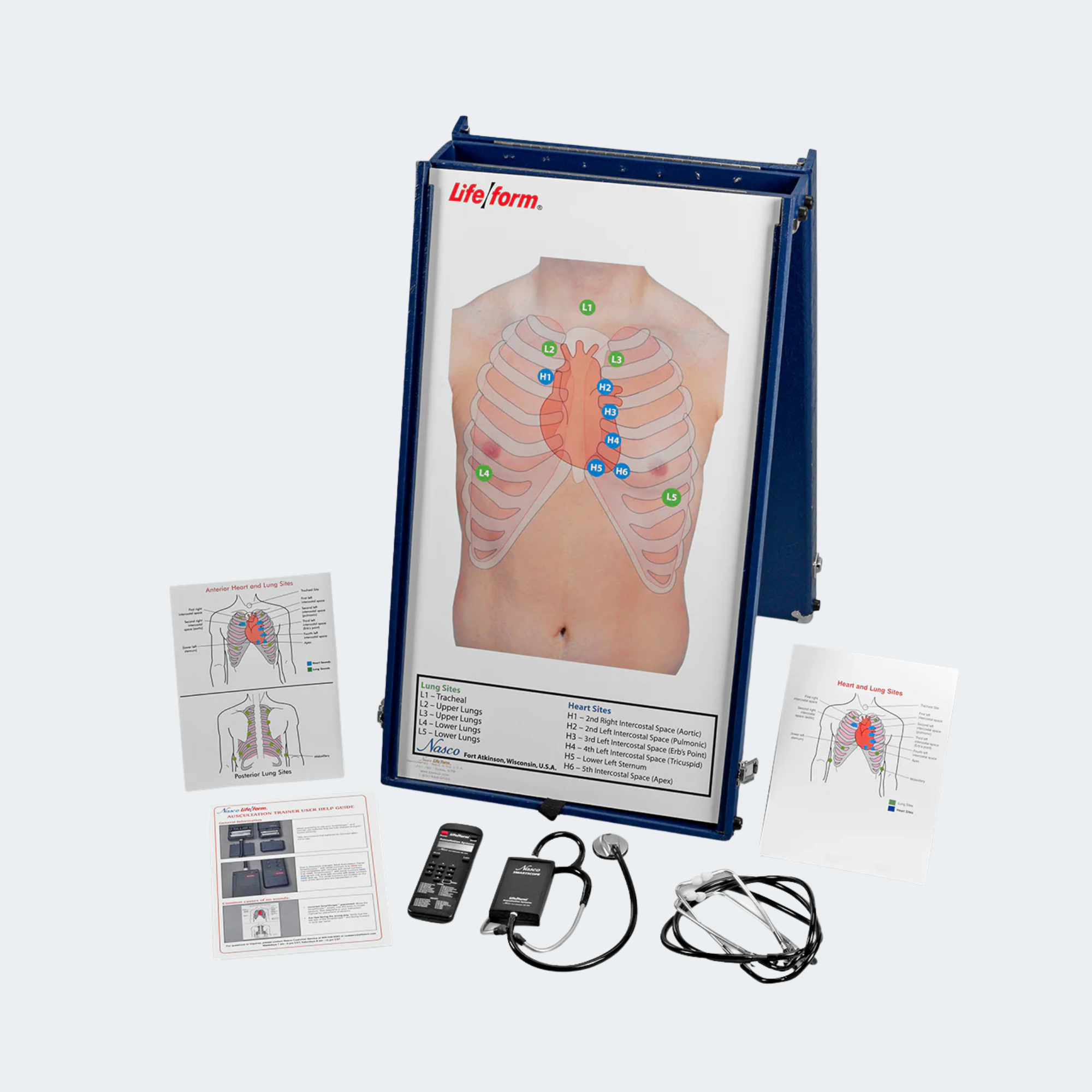 Life/form Anterior Auscultation Practice Board with Case Part #: LF01192U