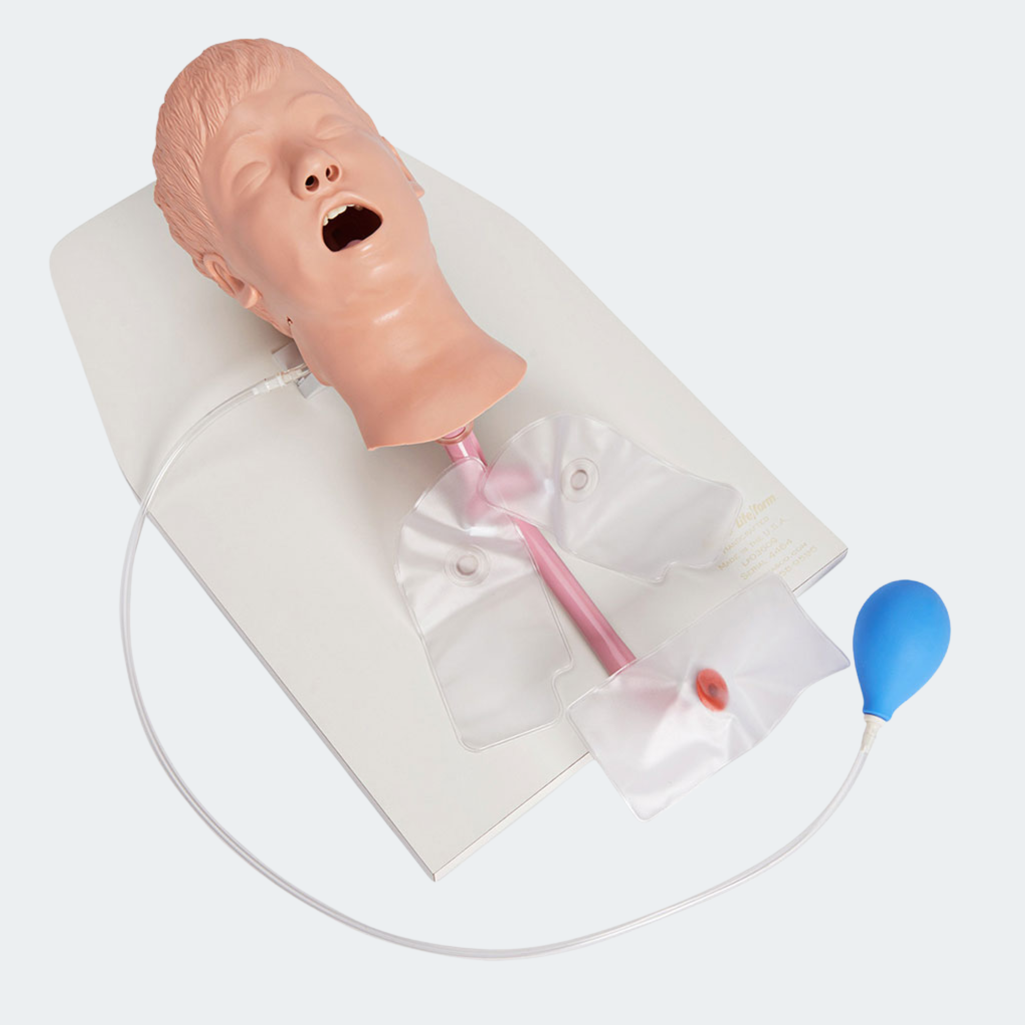 Life/form Child Airway Trainer Head Part #: LF03609U