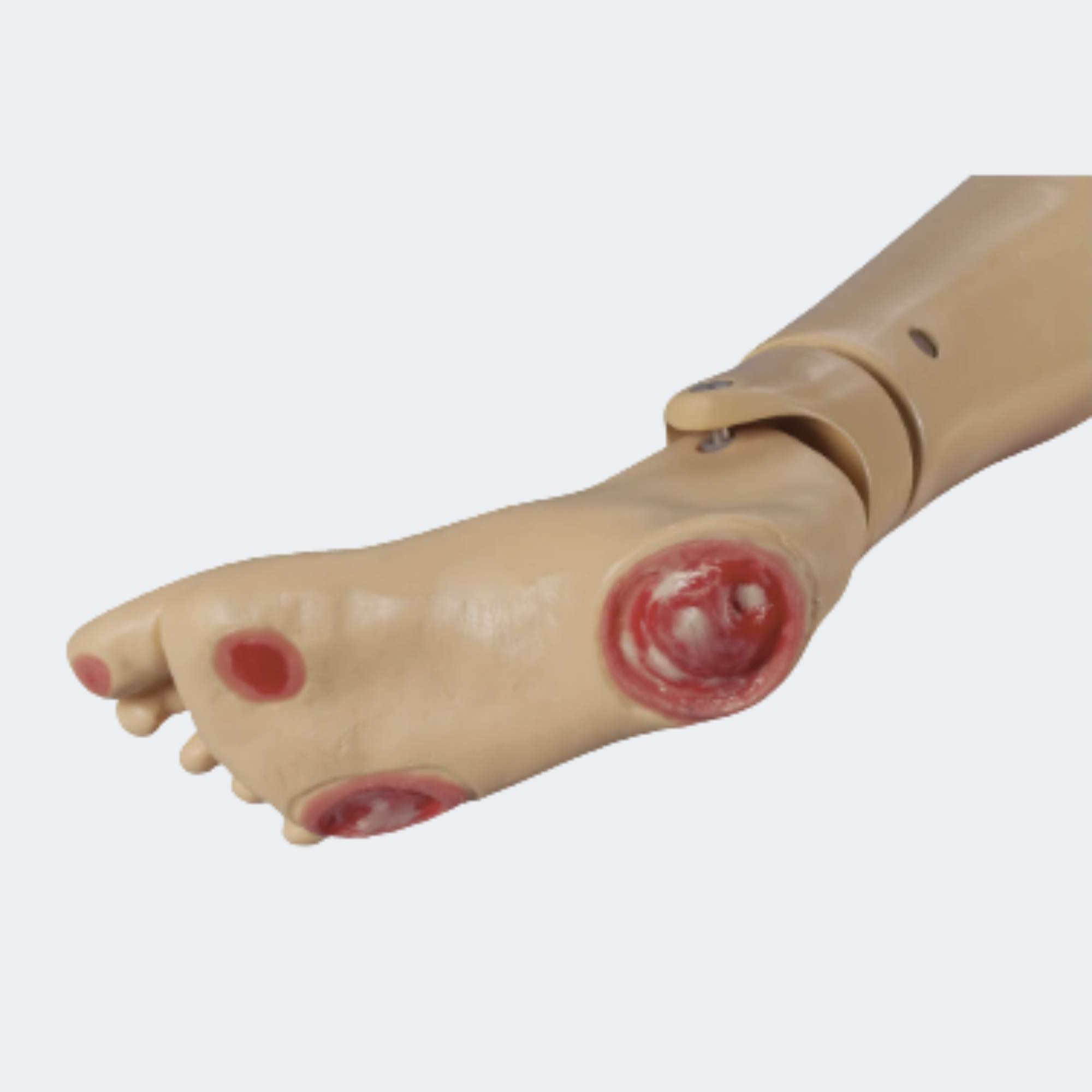 Life/form GERi/KERi Optional Pressure Ulcer Foot Part #: LF04041U