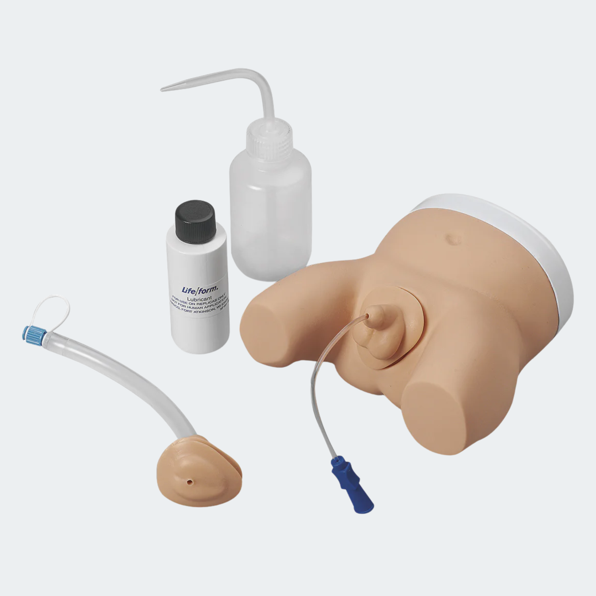 Life/form® Infant Male and Female Catheterization Trainer [SKU: LF01035]