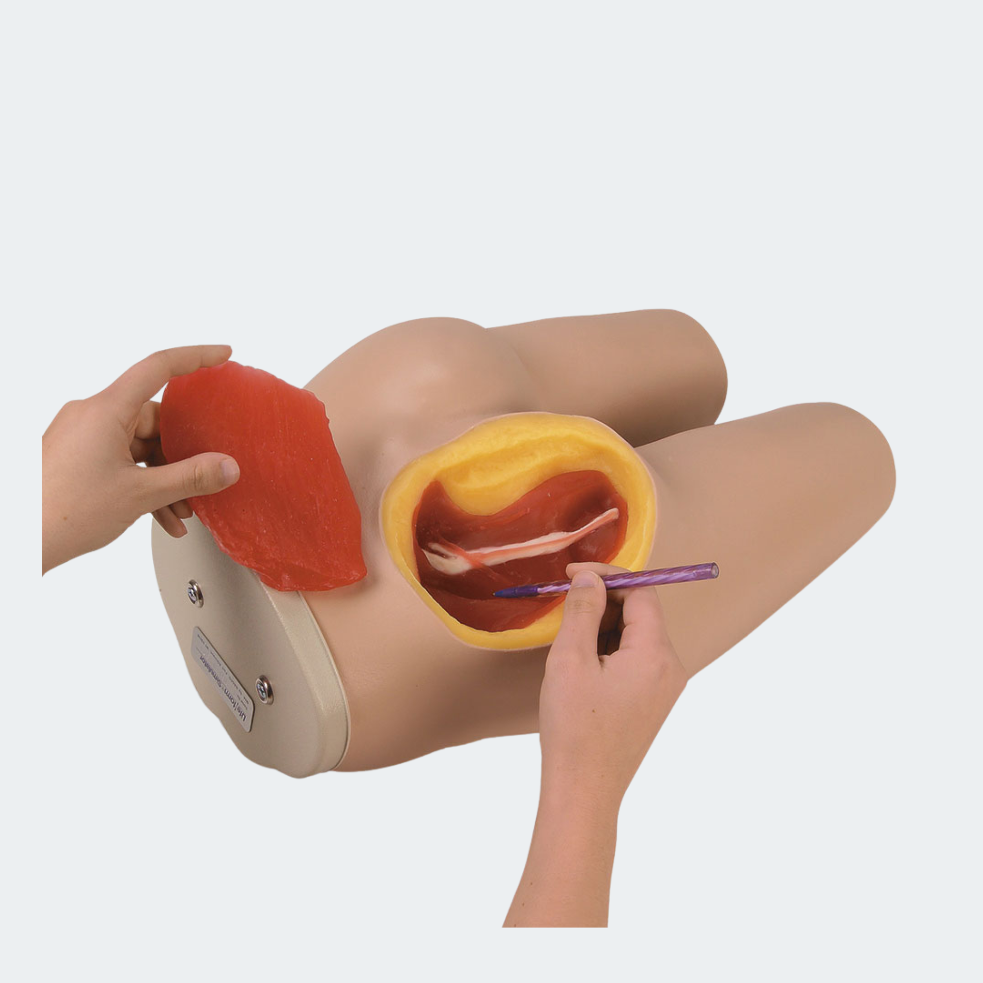 Life/form Intramuscular Injection Simulator Part #: LF00961U
