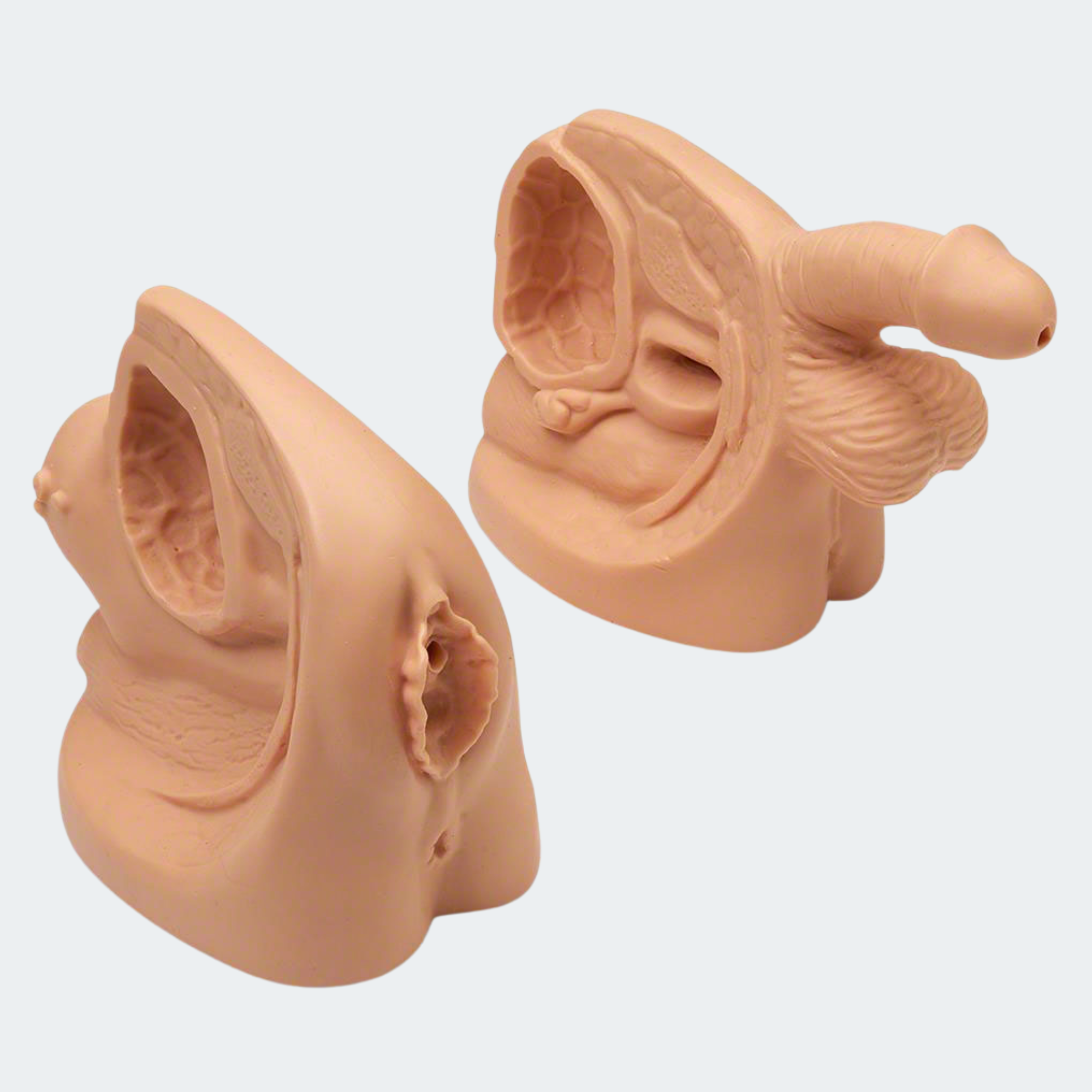 Life/form Male And Female Catheter Model Part #: LF01152U