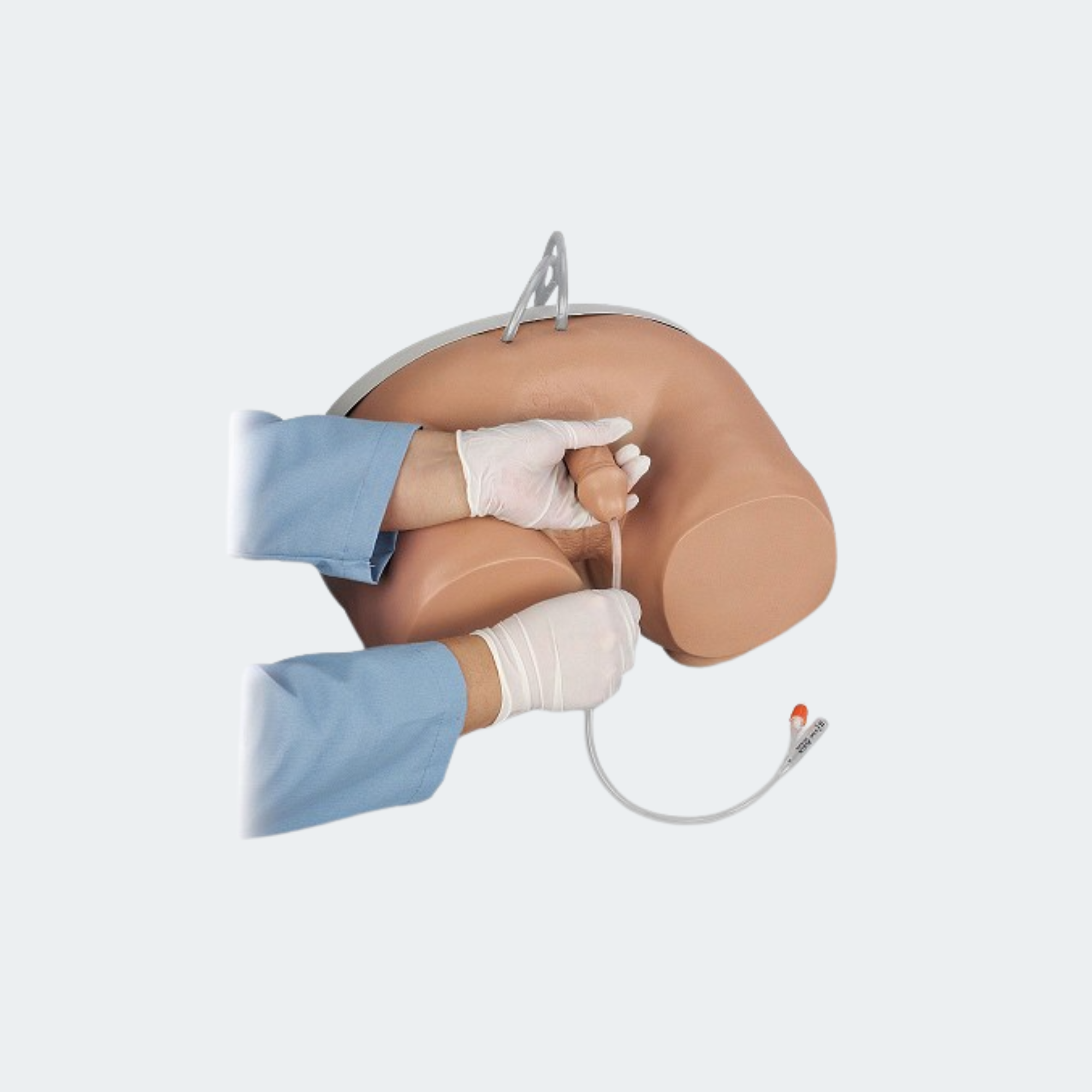 Life/form Male & Female Catheterization Simulators Part #: LF00855U