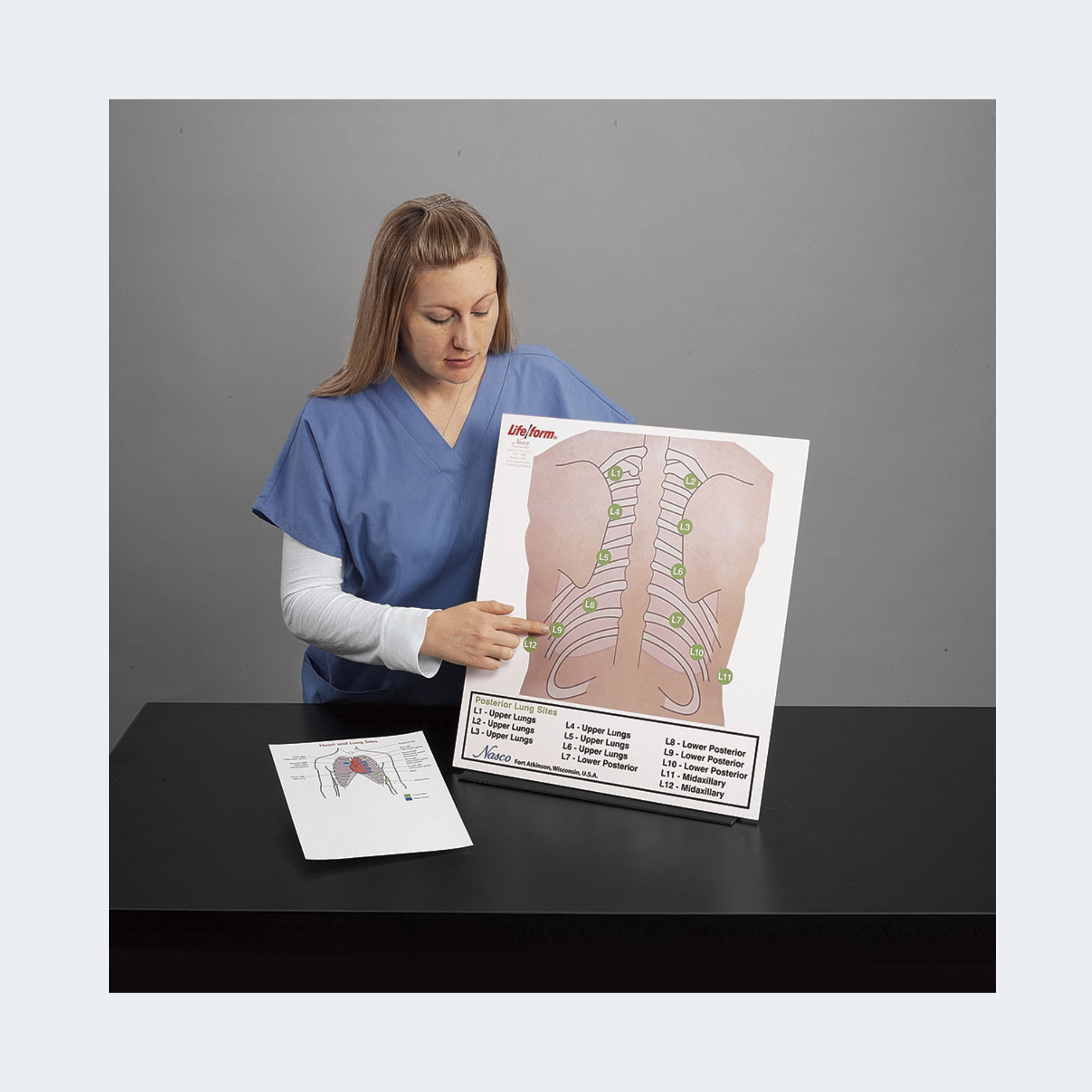 Life/form Posterior Auscultation Practice Board Part #: LF01199U