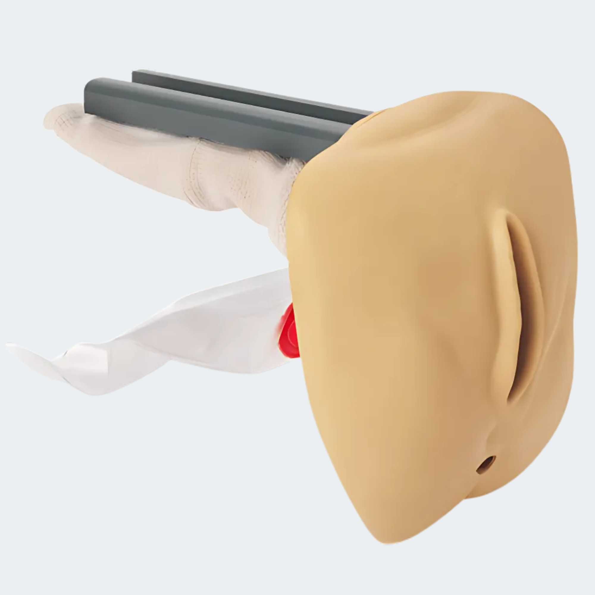 Life/form Replacement Female Genitalia for GERi/KERi Complete, Advanced, and Auscultation Manikins-New Color Part #: LF04076-N-U