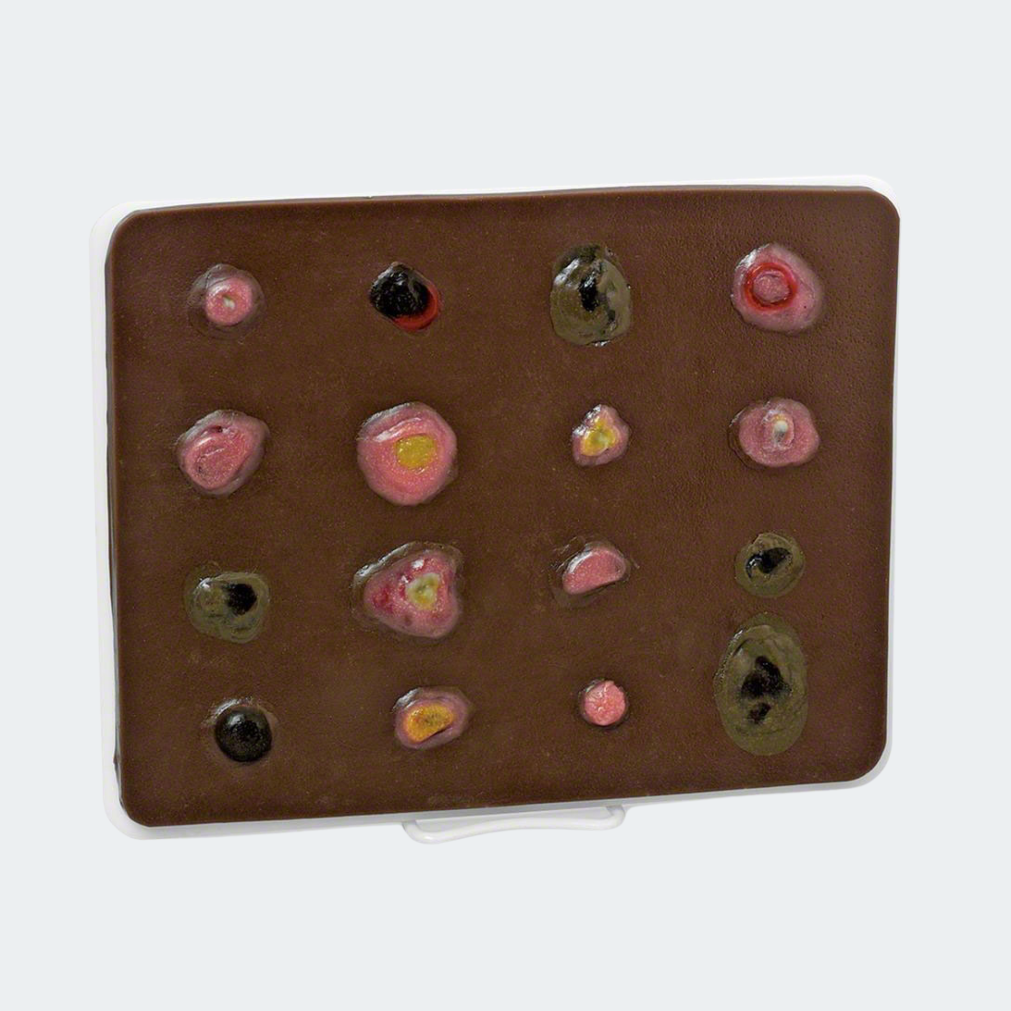 Life/form Skin Cancer Trainer Part #: LF00950U