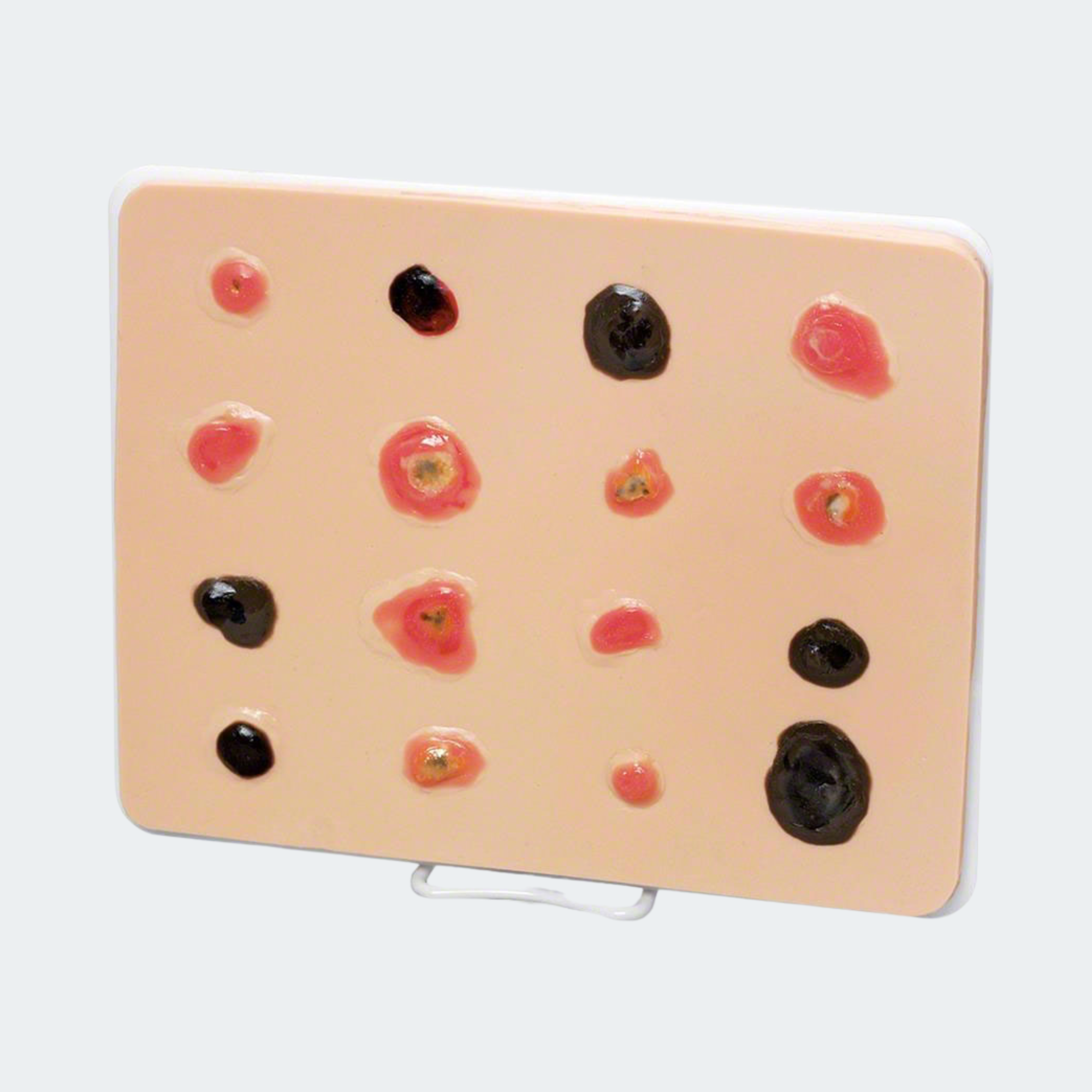 Life/form Skin Cancer Trainer Part #: LF00950U