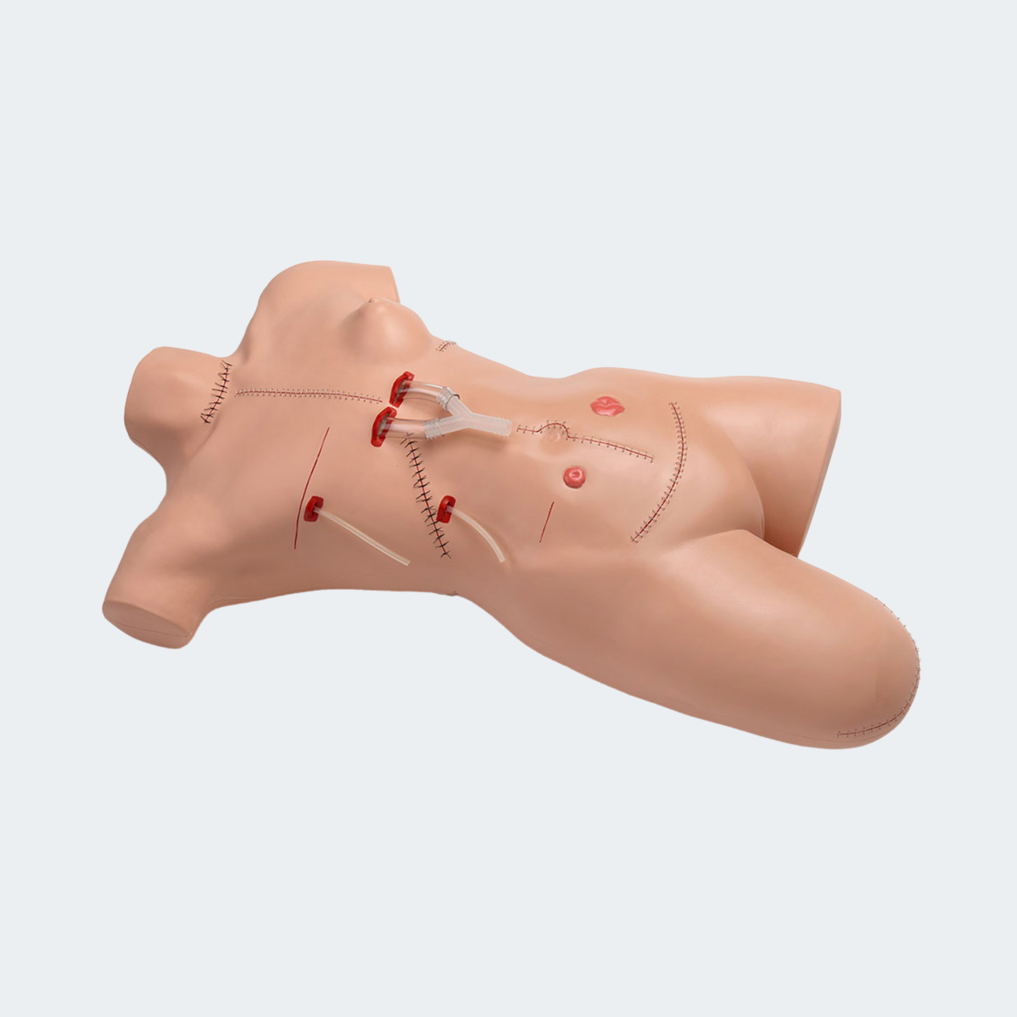 Life/form Surgical Sally Bandaging Simulator Part #: LF00929U