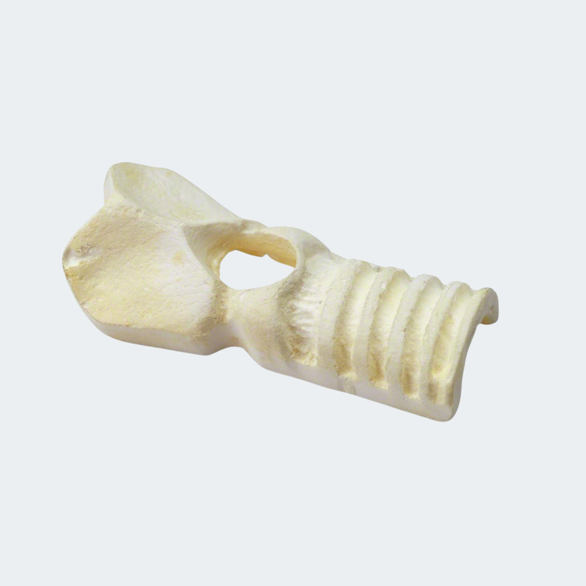 Replacement Trachea for the Simulaids Deluxe Cricothyrotomy Trainer