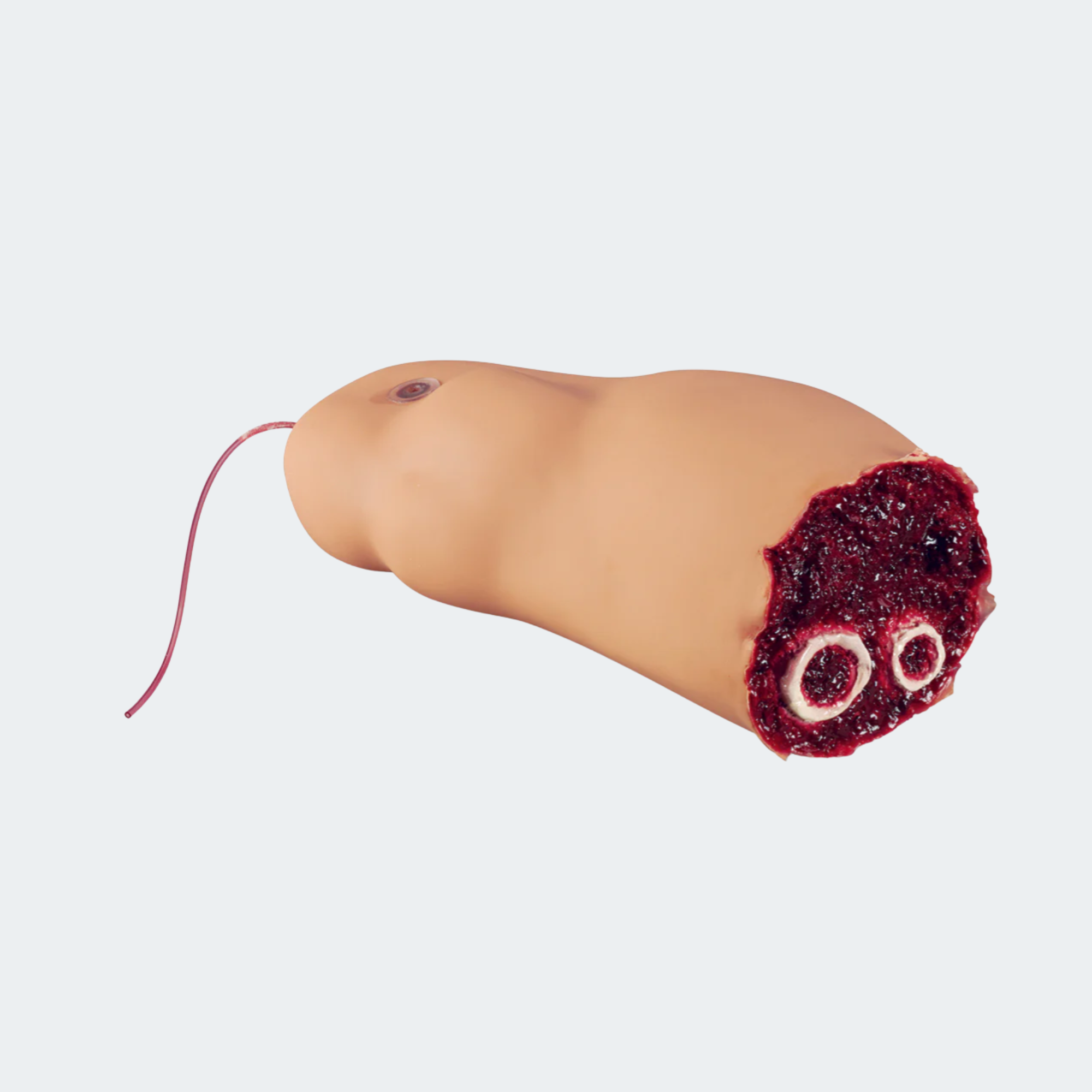 SKU: 101-408 Amputated Leg Smart Stat