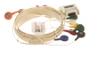 ECG Cable, Leadform, 10 Wire, Snap Ends, IEC, 24", for use with Surveyor S4 (Pricing Subject to Change without Prior Notification) (US Only)