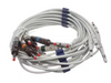 10-Lead Replaceable Lead Set, AHA, Banana, CP100 & CP200, For 400293, 4 Limb Leads & 6 Precordial (US Only)