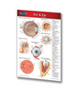 Student Value Pack, Includes: Pocket Eye Chart, Practice Eye, Ear Speculum, Reference Guide Book (US Only)