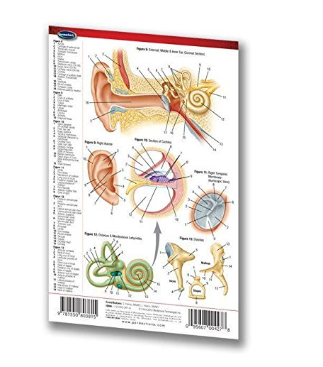 Student Value Pack, Includes: Pocket Eye Chart, Practice Eye, Ear Speculum, Reference Guide Book (US Only)