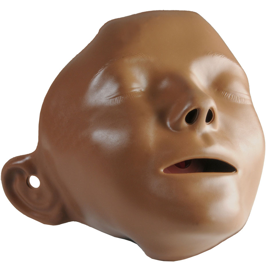 Laerdal Anne Face Pieces (6 Pack) Part #: 310210