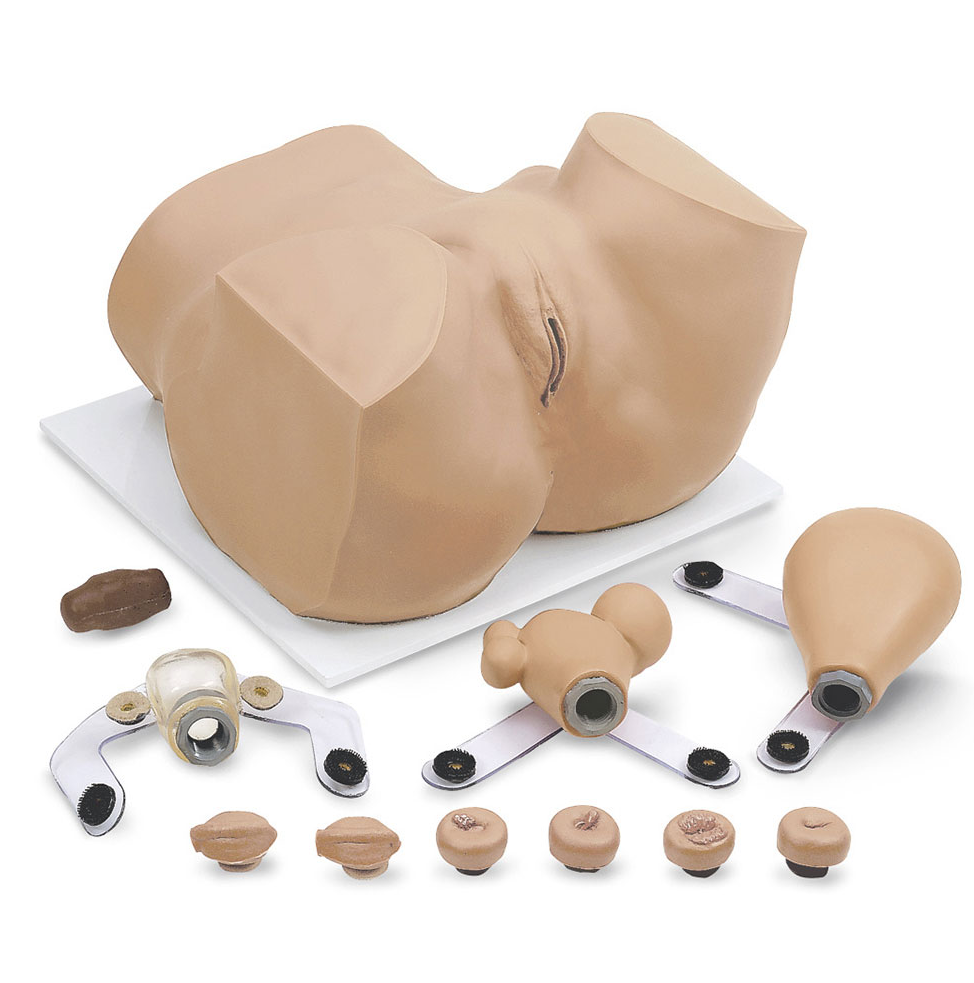 Simulaids Gynecological EVA Manikin