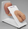 Simulaids Male or Female Catheterization Trainer