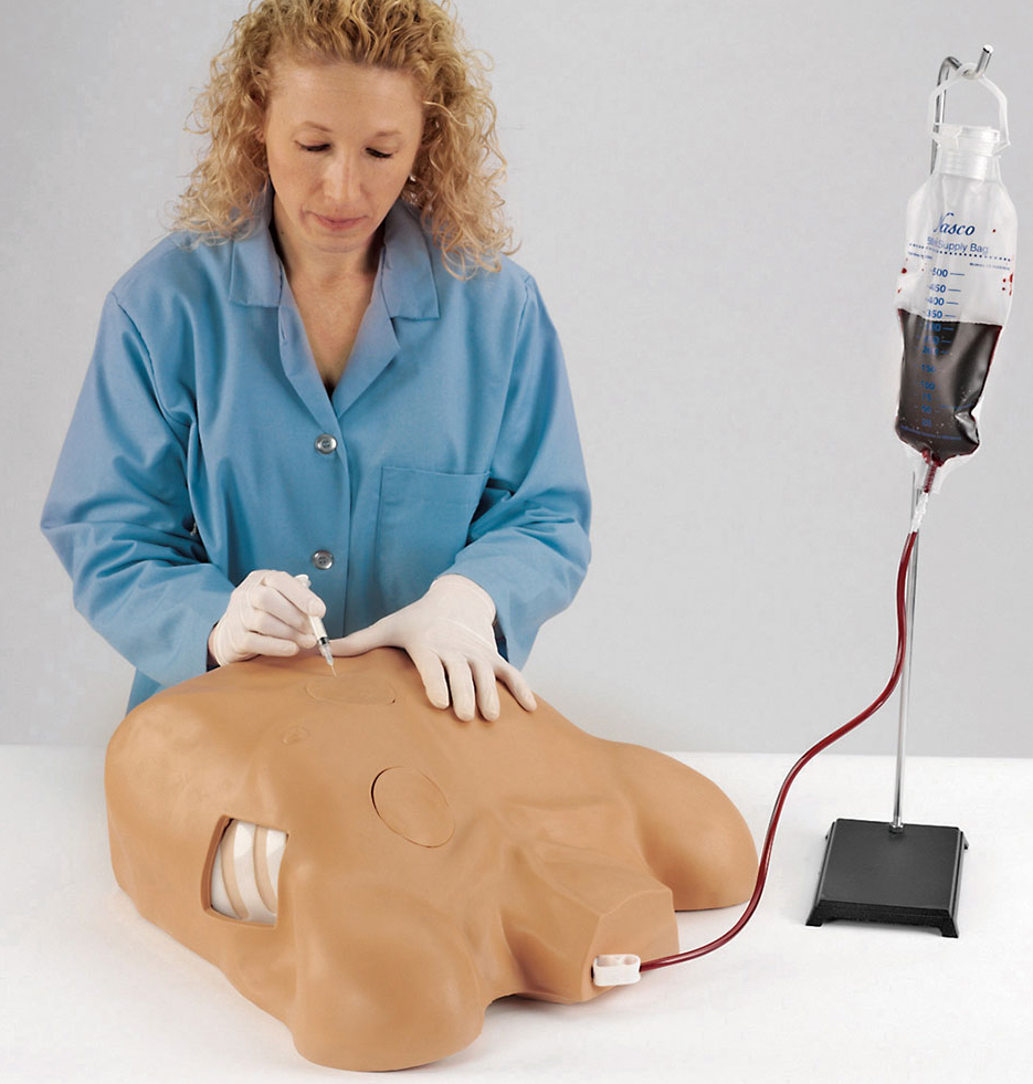Life/form Pericardiocentesis Simulator Part #: LF03769U