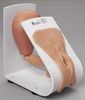 Simulaids Male or Female Catheterization Trainer