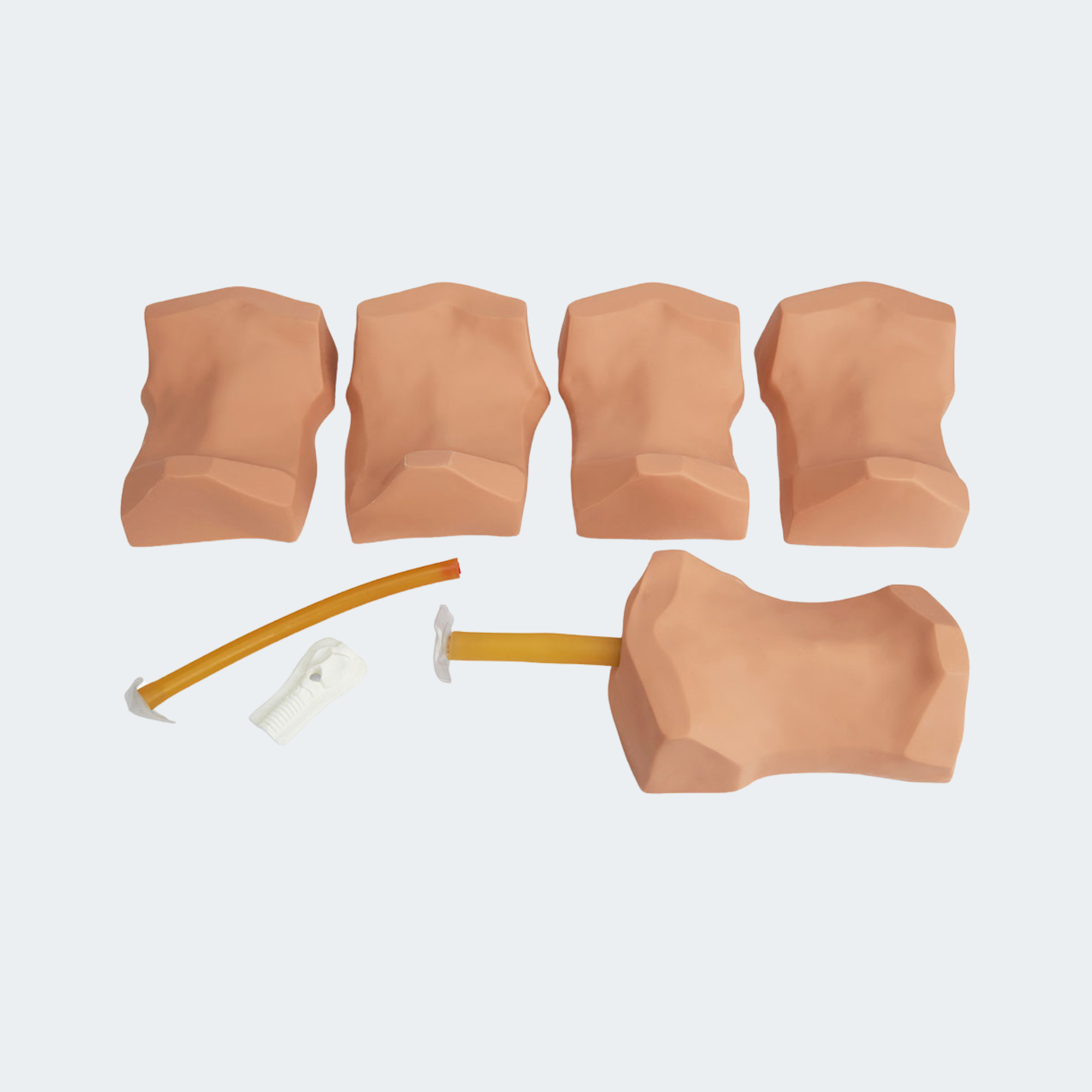 Simulaids Deluxe Cricothyrotomy Trainer